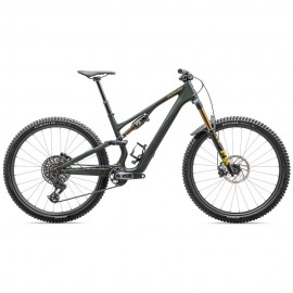 2025 Specialized Stumpjumper 15 Pro Mountain Bike