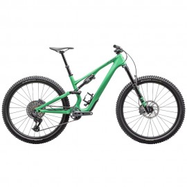 2025 Specialized Stumpjumper 15 Expert Mountain Bike