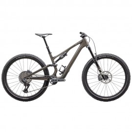 2025 Specialized Stumpjumper 15 Expert Mountain Bike